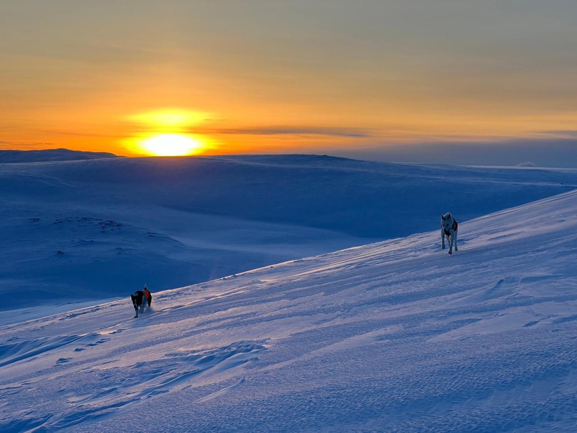 I Vakre Omgivelser Leilighet Tromsø